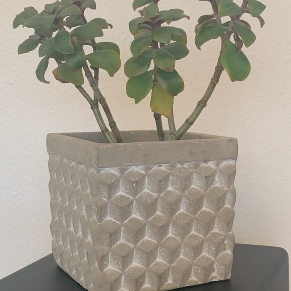 Flowerland Other - Geometric-Patterned Concrete Planter